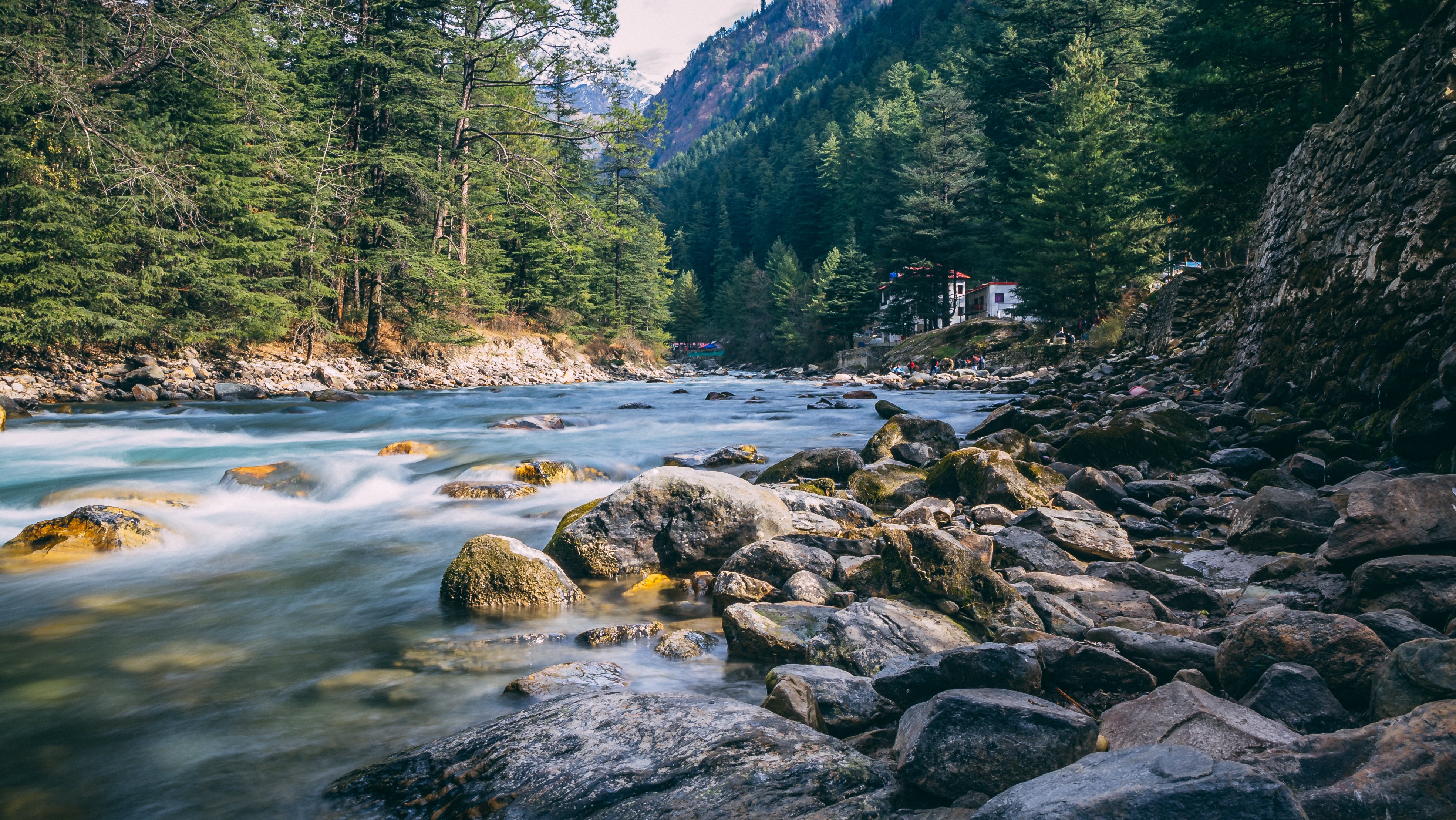 yhai nainital trek