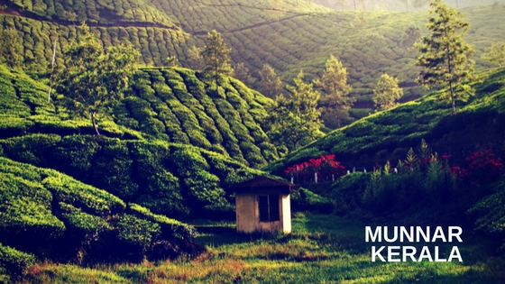 club_mahindra_munnar_resort