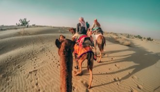 Wild Plants, Beautiful Flowers in Thar Desert of Rajastha