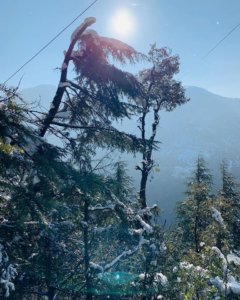 Dalhousie Winter Trek 2019_Acclimatization Walk & Orientation Talk4