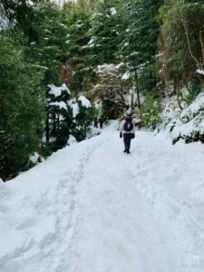 Dalhousie Winter Trek 2019_Kalatop3 Trails
