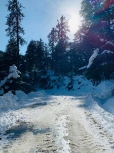 Dalhousie Winter Trek 2019_Kalatop8 Trails