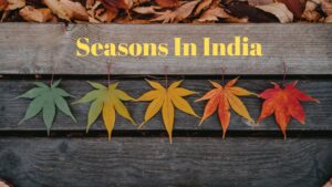 Different_types_of_Seasons_In_India_travellersofindia.com