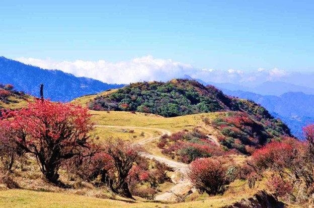 sikkim tourist place information