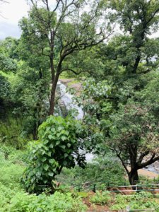 Ashoka_Waterfall_Vihigaon_Falls_Igatpuri_Fall2_TravellersofIndia.JPG