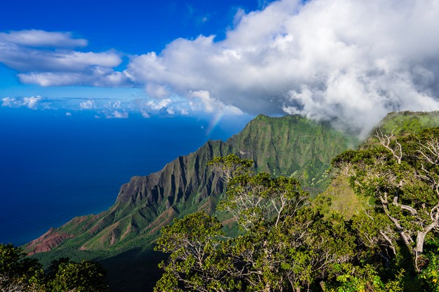 Kaua'i_in_Hawaii_TravellersofIndia