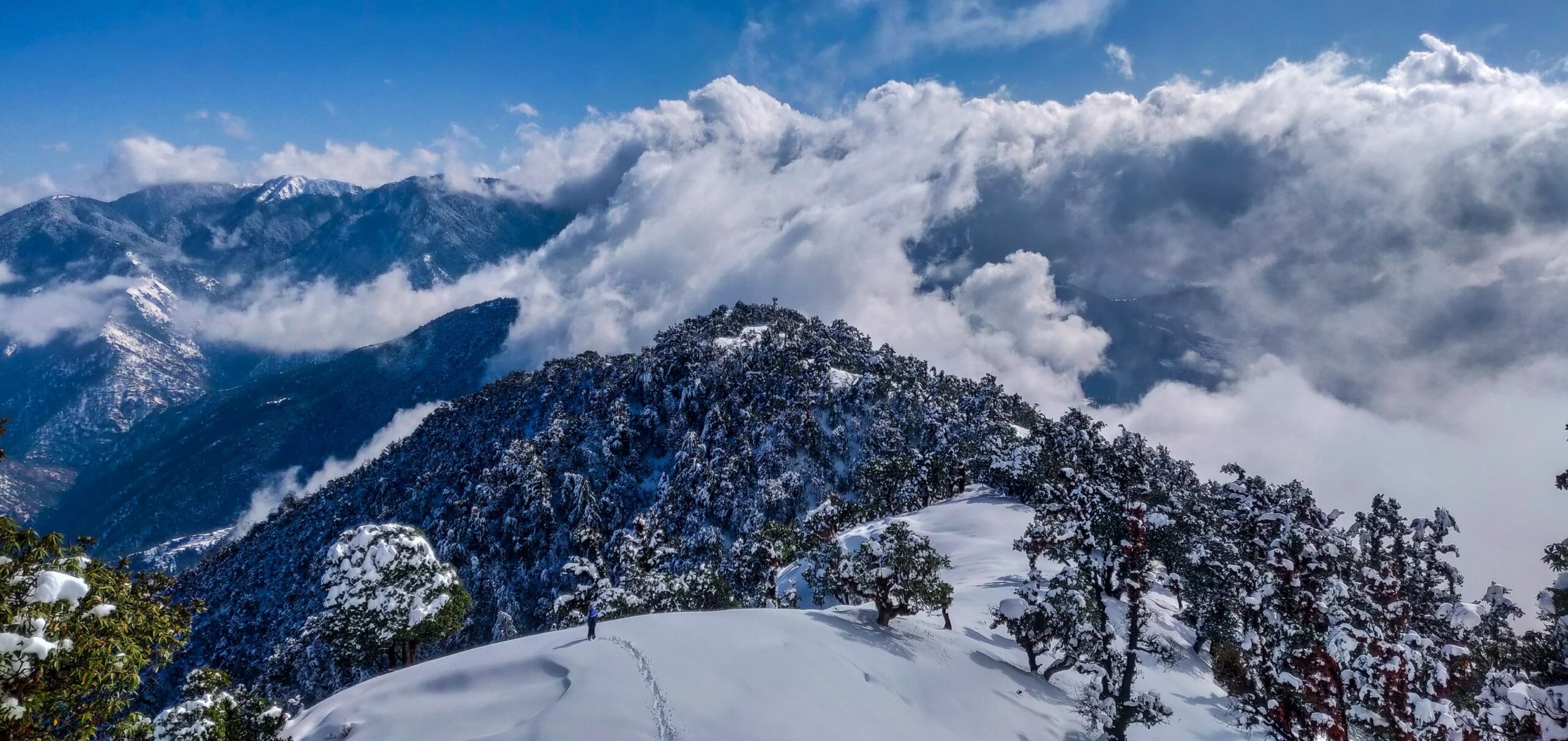 Brahmatal_Trek__The_Ultimate_Trek_Guide_in_the_Himalayas_1