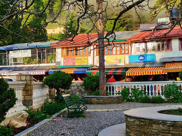 Landour_Char_Dukaan_Trees_Uttarakhand_TravellersofIndia.com