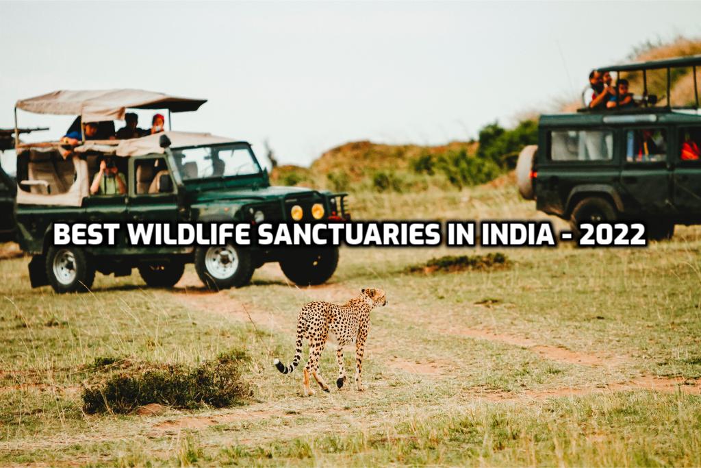 Best_Wildlife_Sanctuaries_in_India_For_Your_Next_2022_Safari_Travellersofindia
