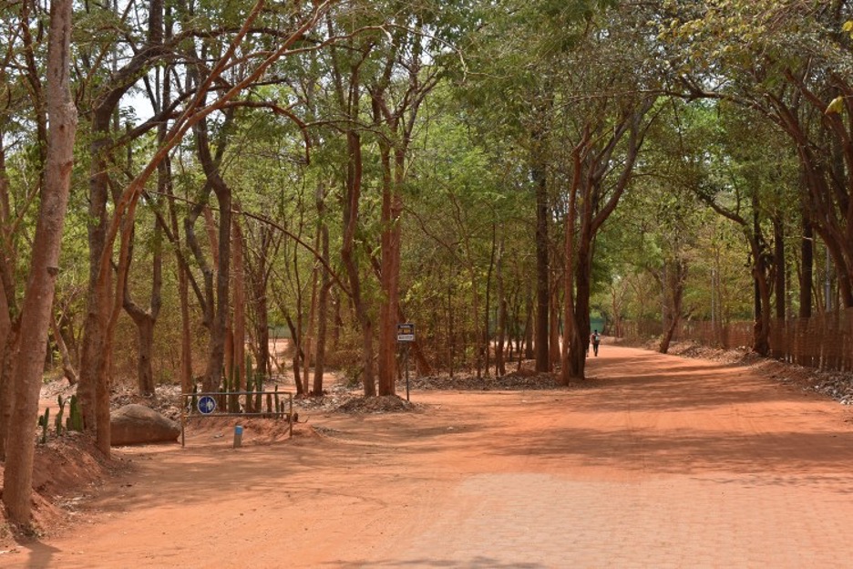 auroville_sustainable living_travellersofindia.com