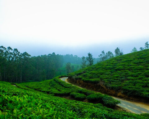 Coorg_travellersofindia