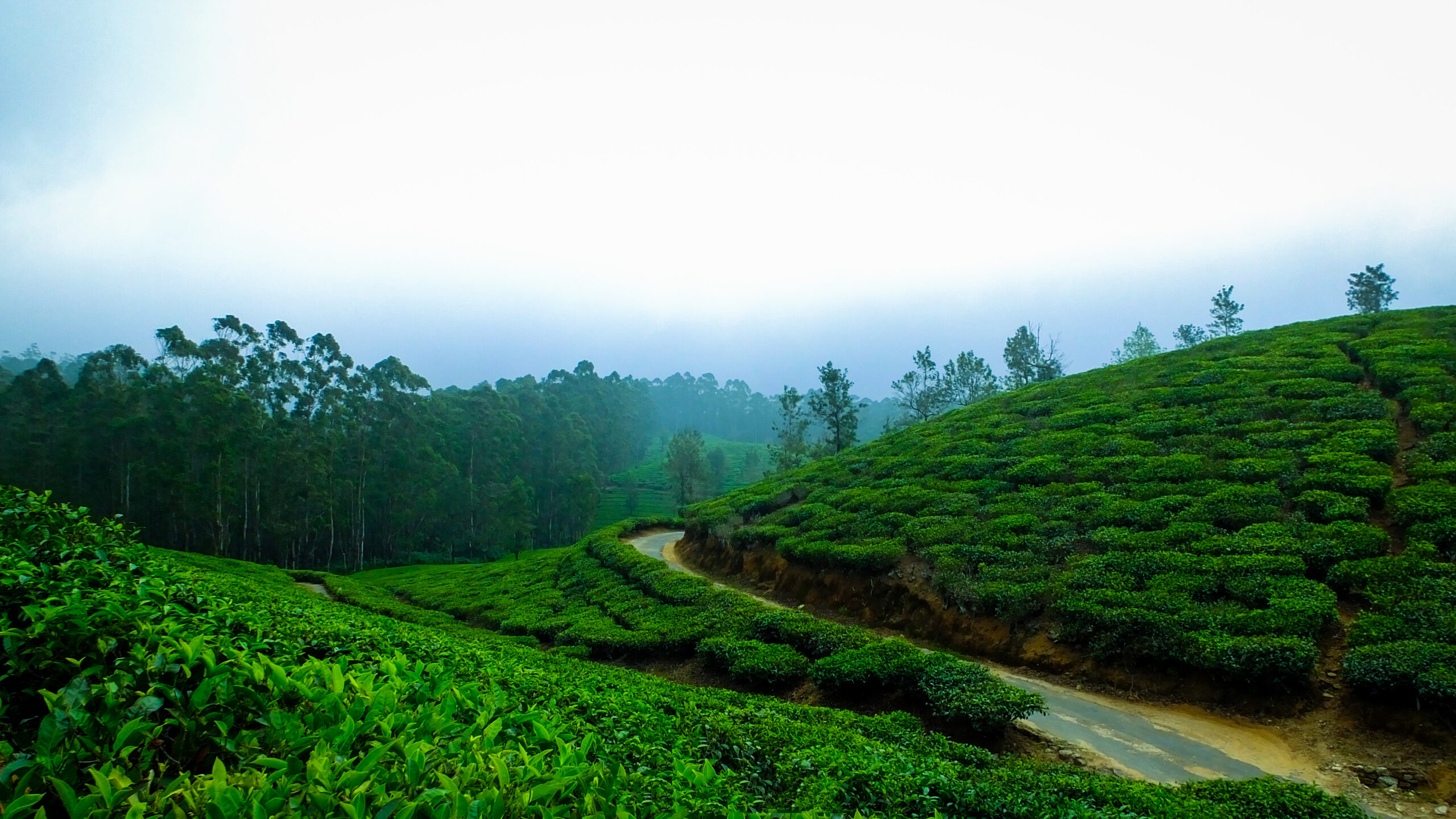 coorg mysore trip