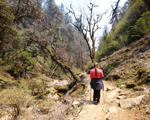 best-trekking-places-near-bangalore2_travellersofindia.com