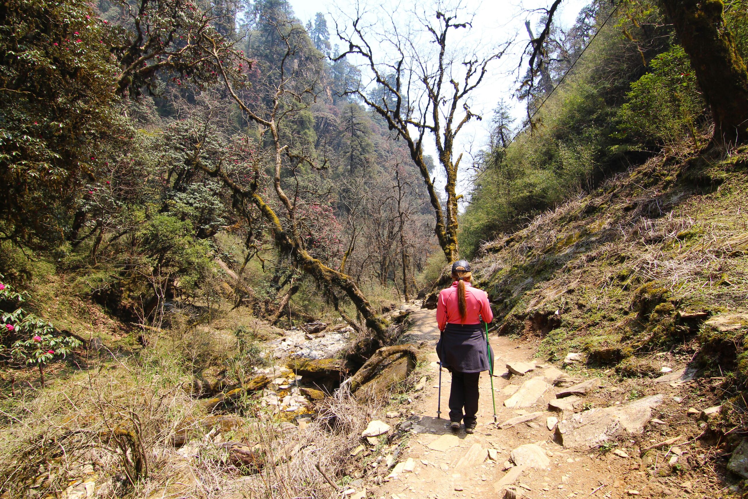 best-trekking-places-near-bangalore2_travellersofindia.com