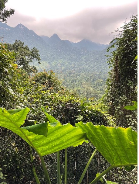 Phong_Nha_Ke_Bang_National_Park_travellersofindia