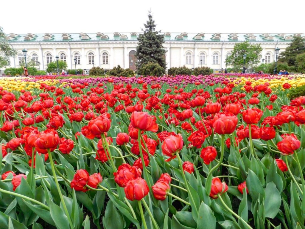 Gardens_of_AlexandriaSpasiba_Russia_travellersofindia.com