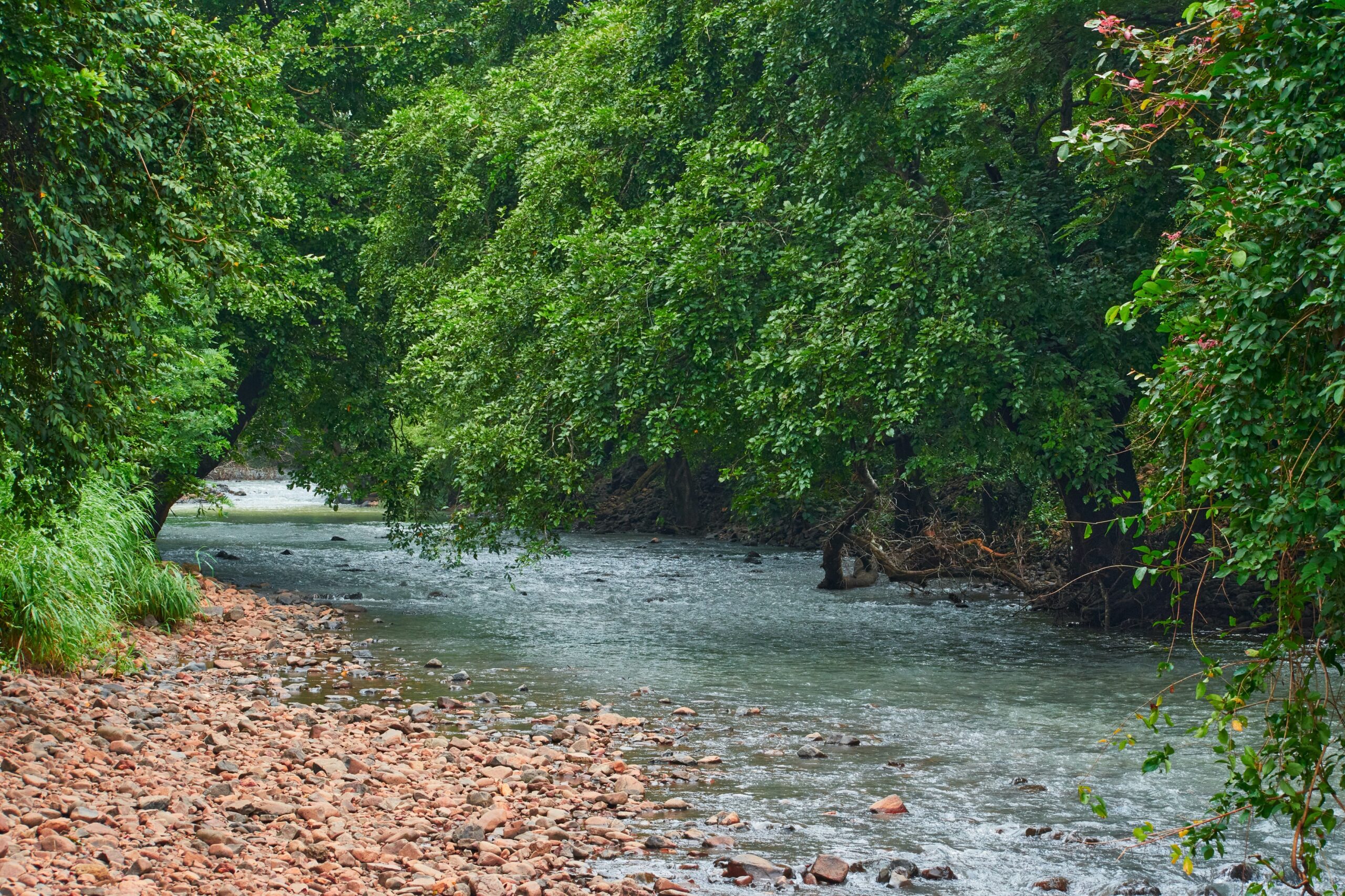 sanjay-gandhi-national-park-mumbai-travellersofindia.com