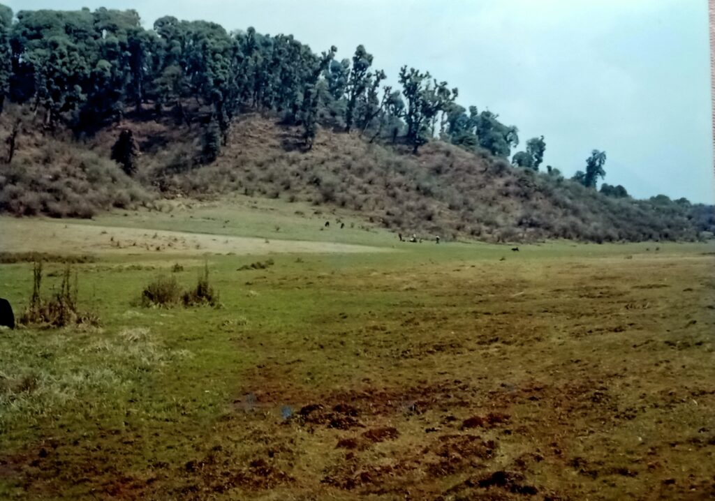 the-mysterious-singalila-national-park-travellersofindia.com4