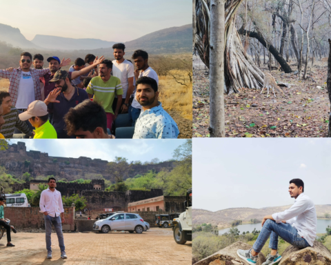 Header-image-Things to Do for Ranthambore Tour in India-travellersofindia