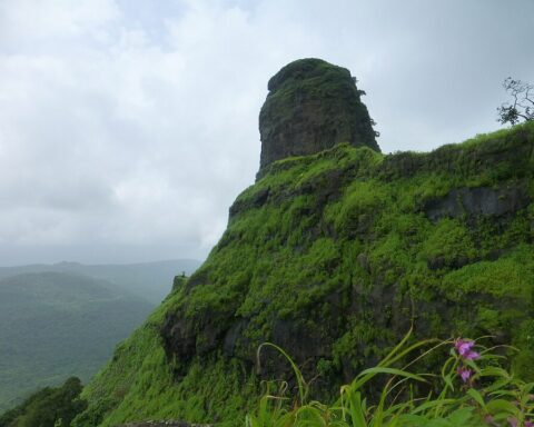 Karnala-Fort-travellersofindia