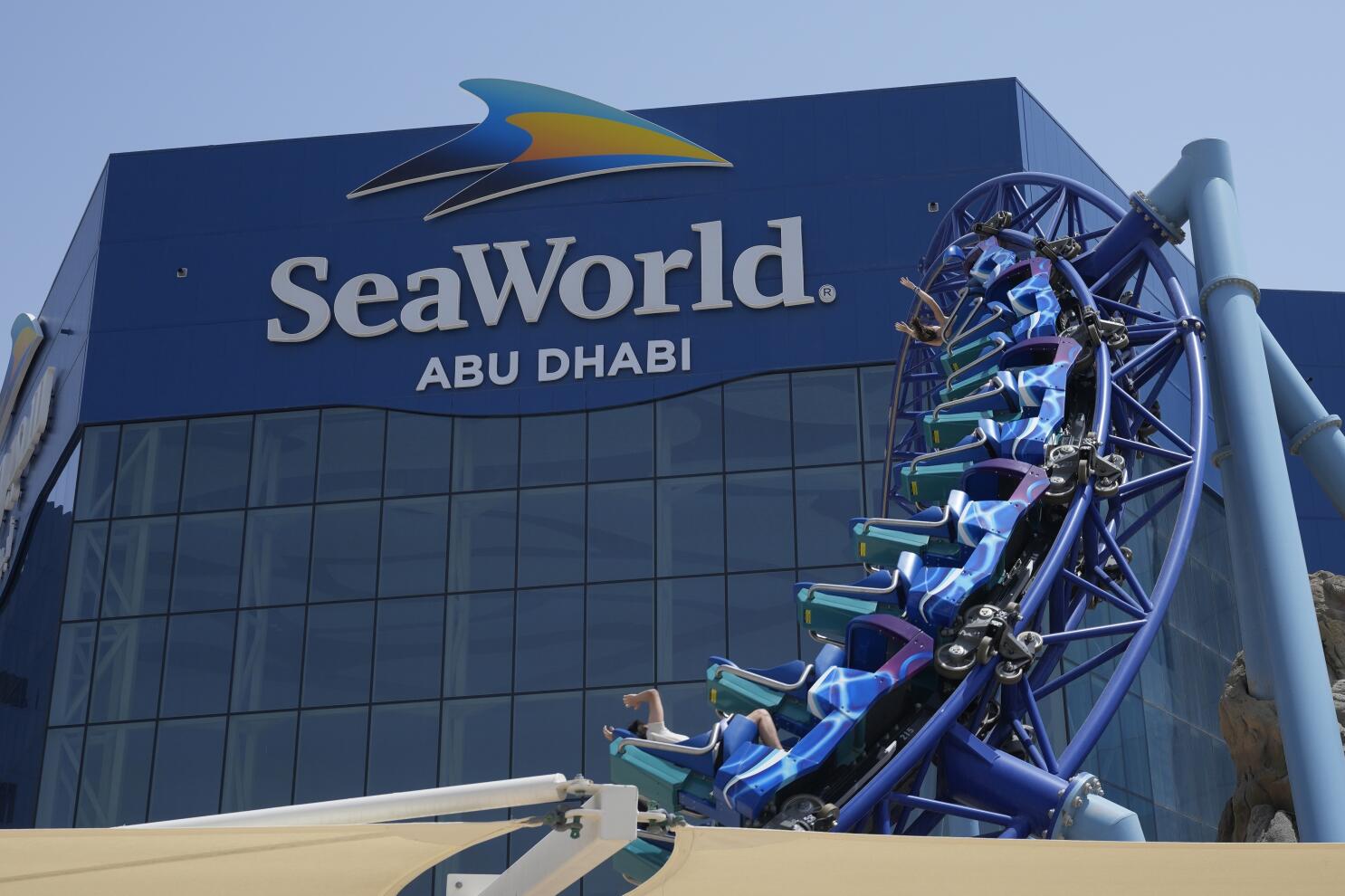 seaworld-abu-dhabi-celebrated-sharks-with-shark-week