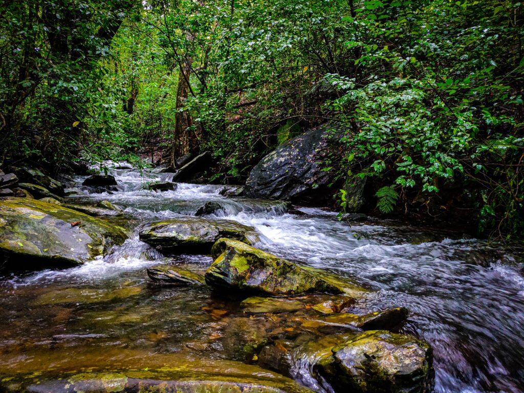 kudremukh-in-winter-travellersofindia