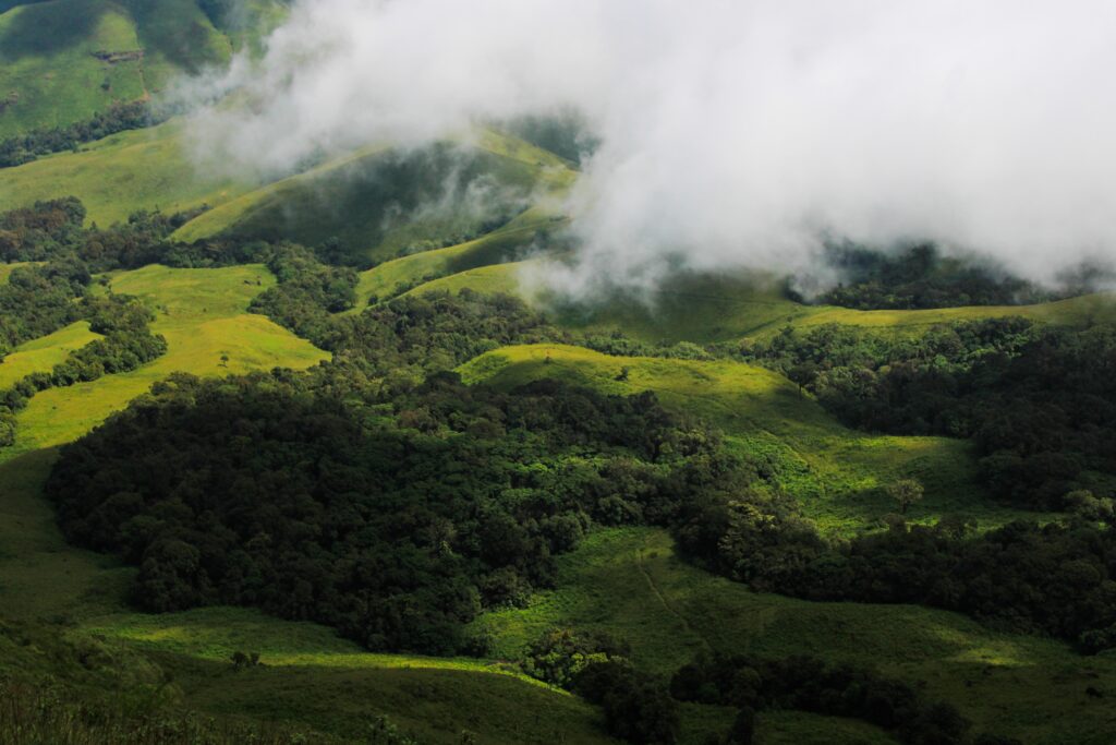 kudremukh-in-winter2-travellersofindia