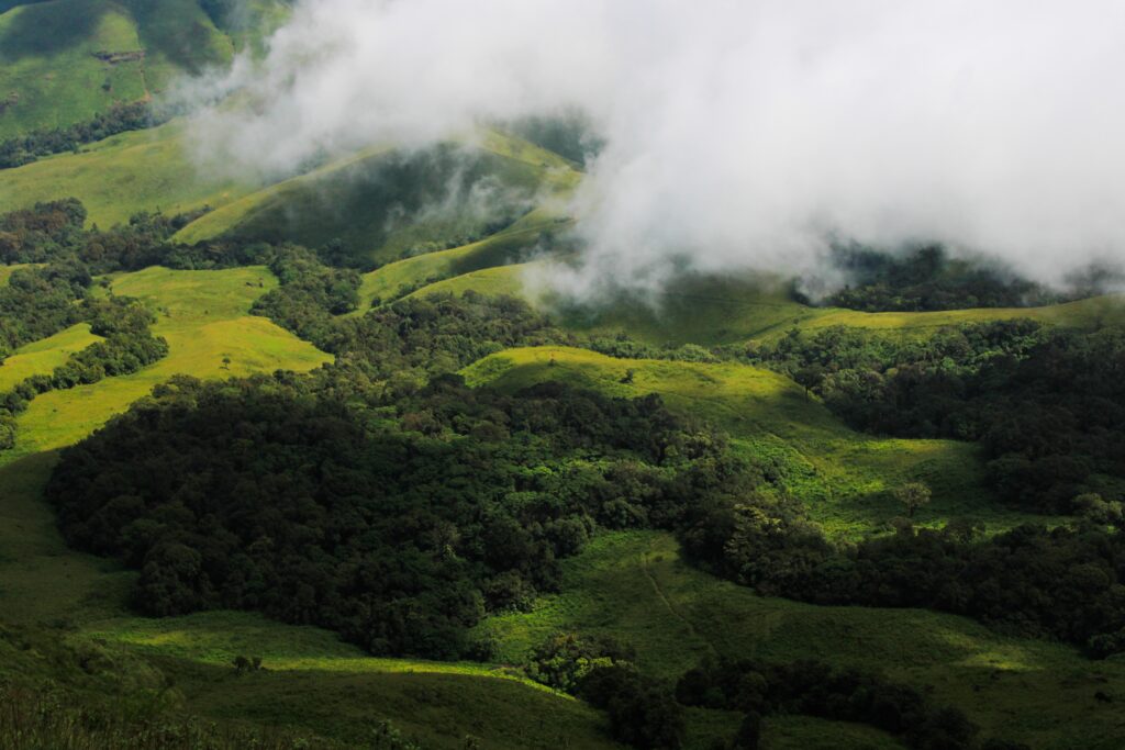 kudremukh-in-winter2-travellersofindia