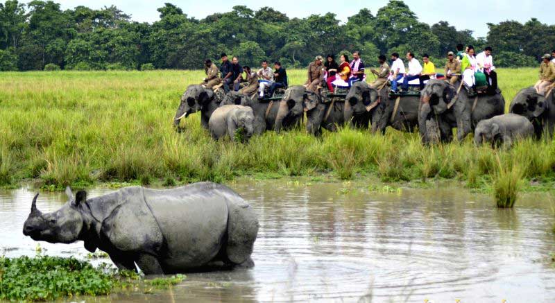 Elephant-Safari-at-Kaziranga-National Park-travellersofindia