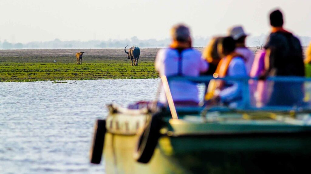 Experience-Boat-Safari-Kaziranga-Range-Assam-travellersofindia