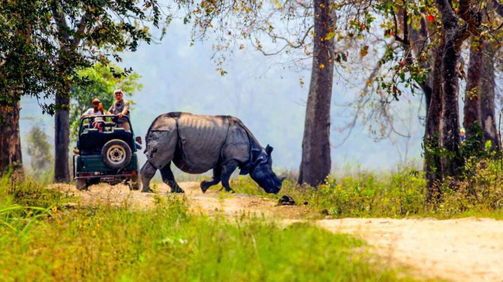 Jeep-Safari-Kaziranga-Assam-travellersofindia