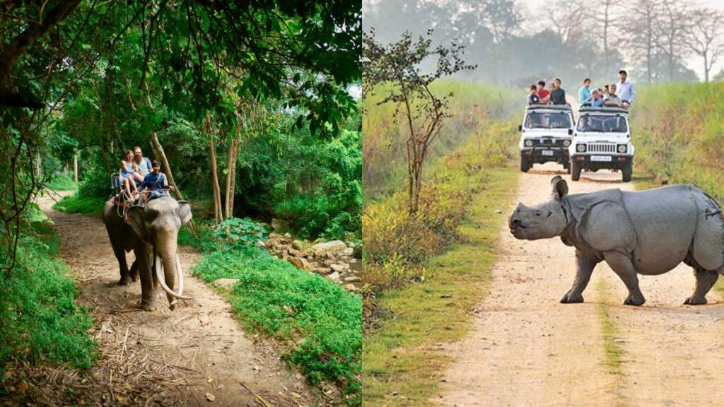 Jeep-and-Elephant-Combination-Safari-Kaziranga-National-Park-Assam-travellersofindia