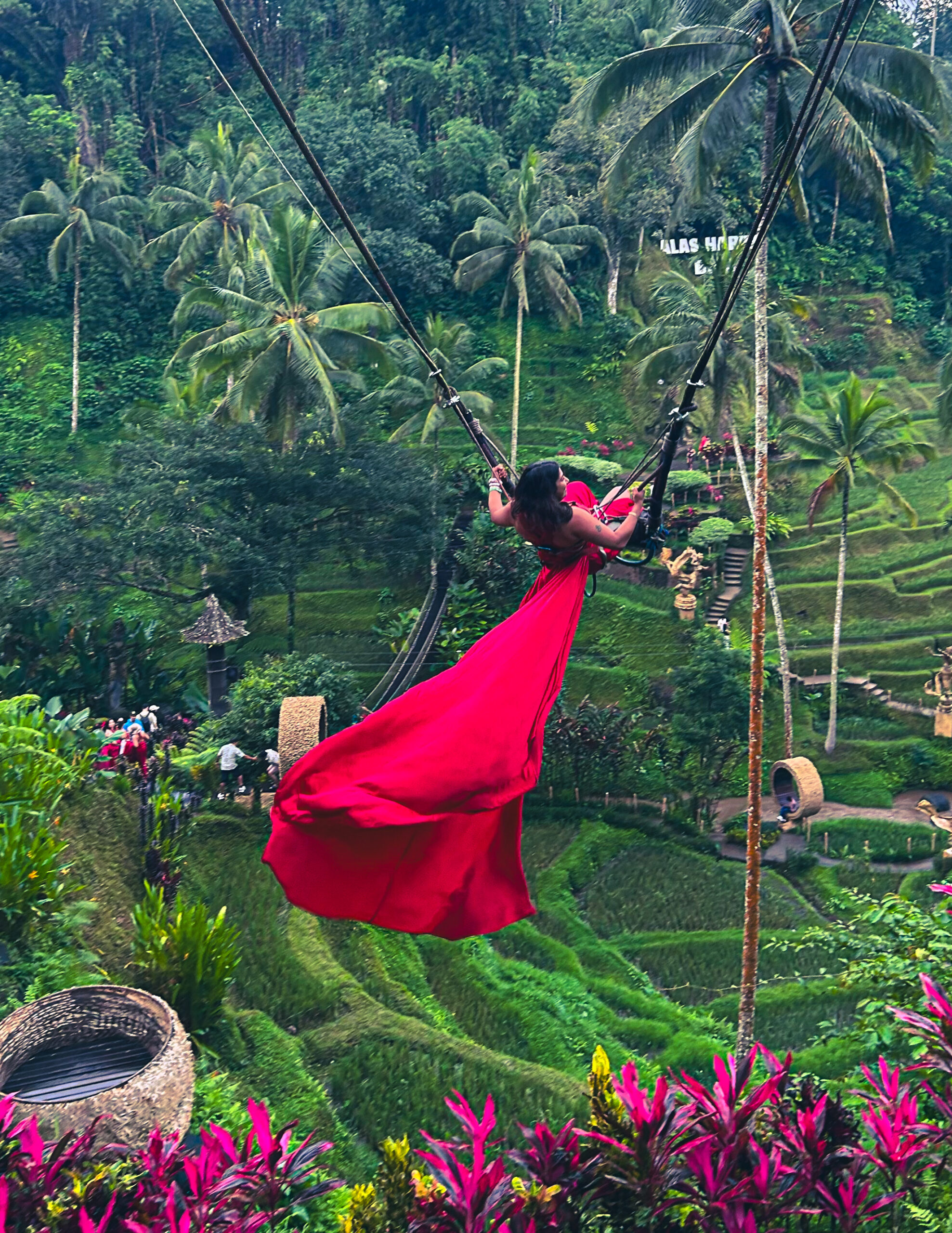 Me holding my breathe as I swing away above the rice fields in Ubud
