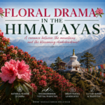 floral-drama-in-the-himalayas-travellersofindia